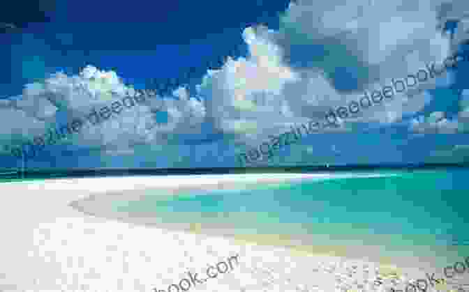 A Beautiful Beach With White Sand And Clear Water. The Sun The Sea (100 Images)