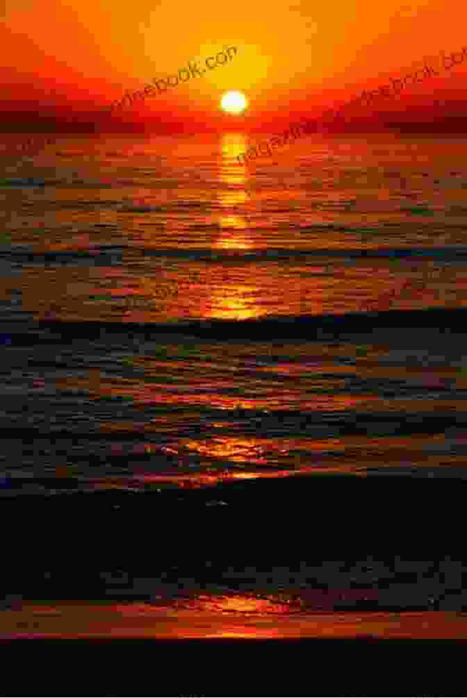 A Beautiful Sunset Over The Ocean. The Sun The Sea (100 Images)