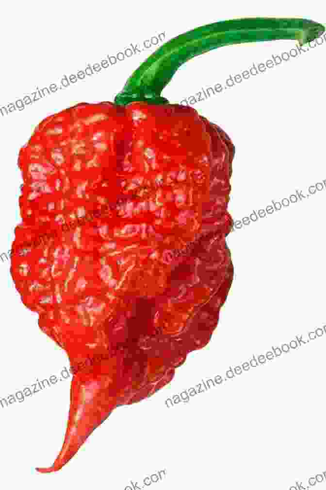 A Photograph Of A Carolina Reaper, A Gnarled, Deep Red Pepper With An Extreme Heat Level. From Red Hot To Monkey S Eyebrow: Unusual Kentucky Place Names