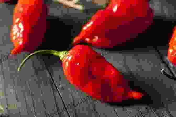 A Photograph Of A Ghost Pepper, A Wrinkled, Dark Red Pepper With A Smoky Flavor And Extreme Heat. From Red Hot To Monkey S Eyebrow: Unusual Kentucky Place Names