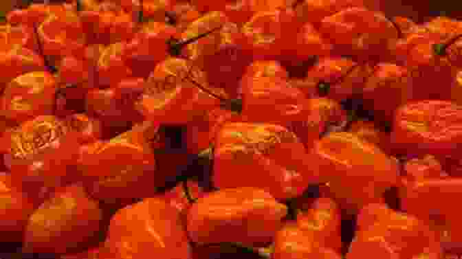 A Photograph Of A Habanero Pepper, A Small, Orange Pepper With A Fiery Heat Level. From Red Hot To Monkey S Eyebrow: Unusual Kentucky Place Names