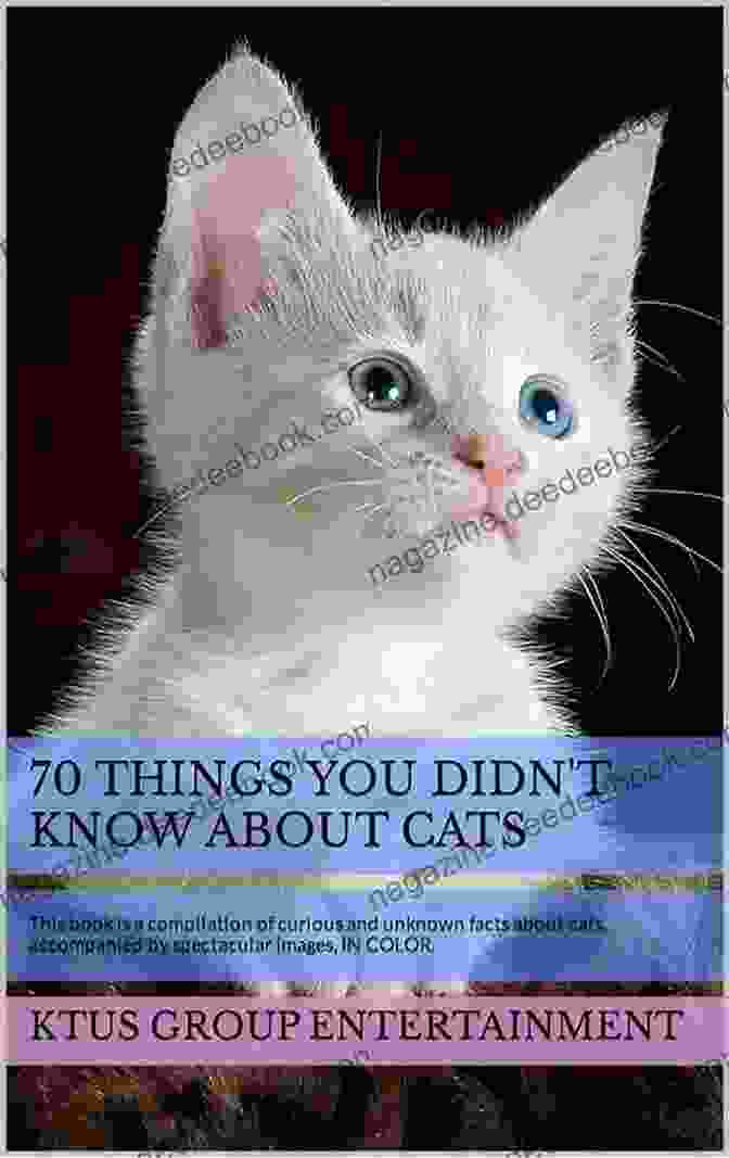 A Senior Cat 70 THINGS YOU DIDN T KNOW ABOUT CATS: This Is A Compilation Of Curious And Unknown Facts About Cats Accompanied By Spectacular Images IN COLOR