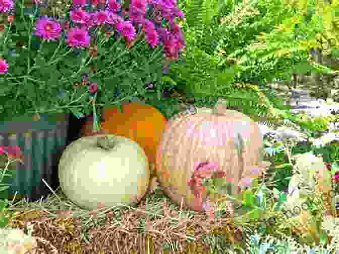 A Vibrant Pumpkin Spice Garden With Lush Pumpkins, Fragrant Herbs, And Blooming Flowers. Pumpkin Spice (The Friendship Garden 2)