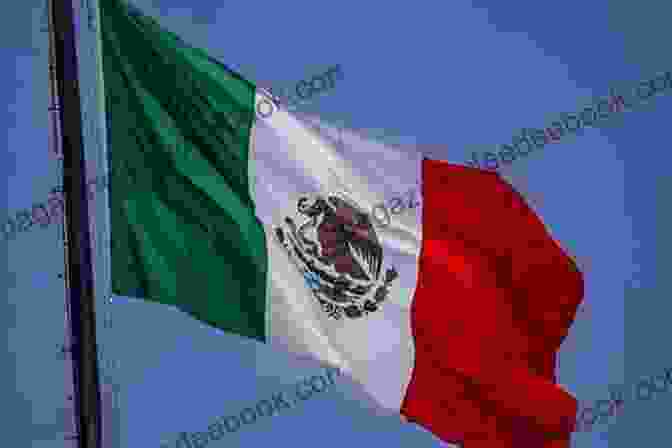An Image Of Jillian Looking At A Mexican Flag The Jillian Chronicles Valeria Luiselli