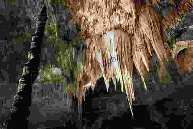Glistening Stalactites Hanging From The Ceiling Of The Infinity Ring Cave Of Wonders Infinity Ring 5: Cave Of Wonders