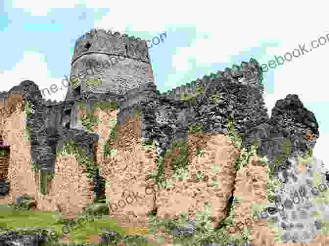 Kilwa Kisiwani Ruins, Tanzania Archaeology For Kids Africa Top Archaeological Dig Sites And Discoveries Guide On Archaeological Artifacts 5th Grade Social Studies
