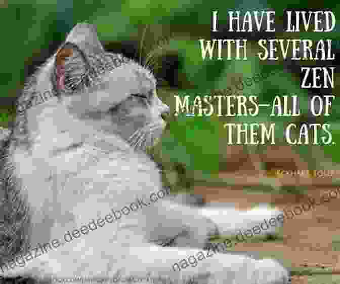 Witticism: 'I've Lived With Several Zen Masters All Of Them Cats.' Mark Twain The Quotable Mark Twain: His Essential Aphorisms Witticisms Concise Opinions