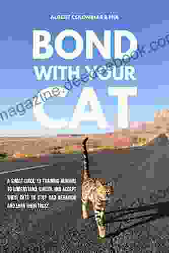 Bond With Your Cat: OutdoorBengal