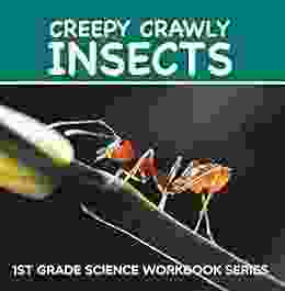 Creepy Crawly Insects : 1st Grade Science Workbook