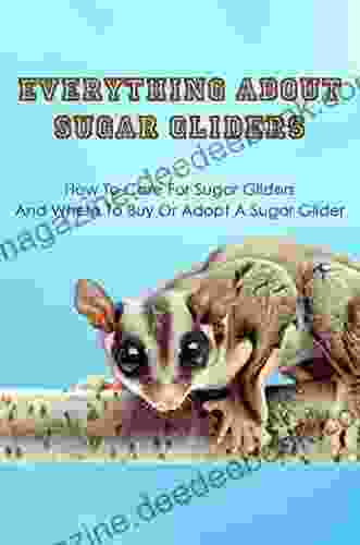 Everything About Sugar Gliders: How To Care For Sugar Gliders Where To Buy Or Adopt A Sugar Glider