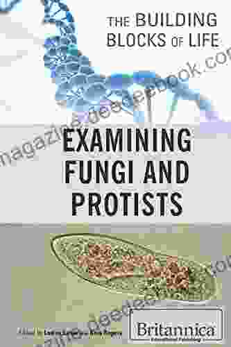 Examining Fungi And Protists (Building Blocks Of Life)