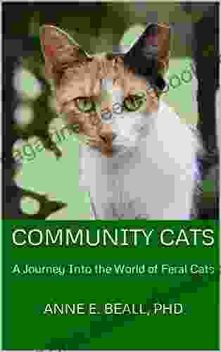 Community Cats: A Journey Into The World Of Feral Cats