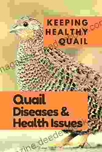 Quail Farming For Beginners: KEEPING HEALTHY QUAIL : ( Quail Diseases Health Issues )
