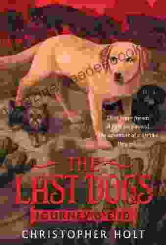 The Last Dogs: Journey S End
