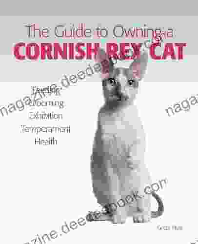 Guide To Owning A Cornish Rex Cat