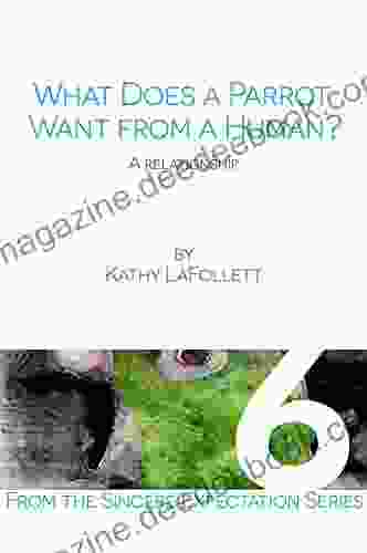 What Does A Parrot Want From A Human (Sincere Expectations Of Companion Parrots 6)
