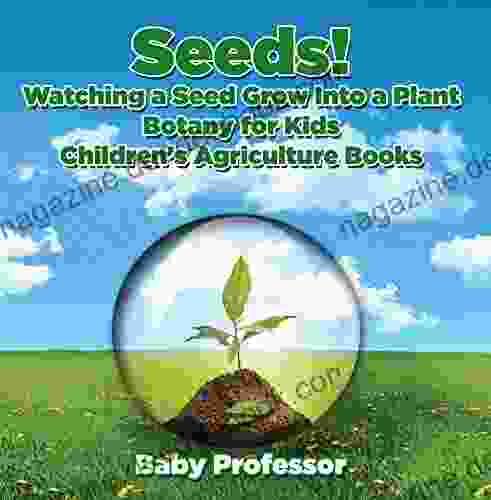 Seeds Watching A Seed Grow Into A Plants Botany For Kids Children S Agriculture